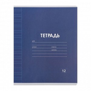 Набор тетрадей 12 листов в узкую линейку Calligrata «Однотонная Классика», обложка мелованная бумага, серые листы