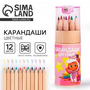 Цветные карандаши 12 цветов в тубусе мини, деревянные, заточенные «Розовый»