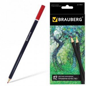 Карандаши цветные BRAUBERG "Artist line", 12 цв, черный корп