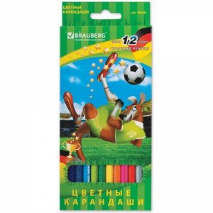 Карандаши цветные BRAUBERG "Football match", 12 цв., заточен