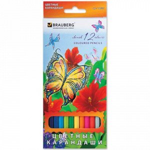 Карандаши цветные BRAUBERG "Wonderful butterfly", 12 цв., за