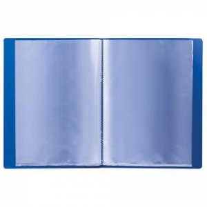 Папка  20 вклад. BRAUBERG Стандарт, синяя, 0,6мм, 221595