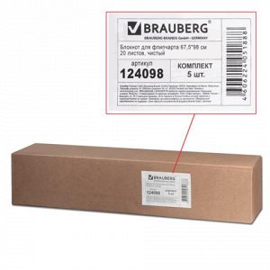 Блокноты для флипчарта BRAUBERG, КОМПЛЕКТ 5шт., 20 л., чисты