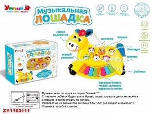 Пианино ZY1163111 ZYЕ-E0380 (1/96)