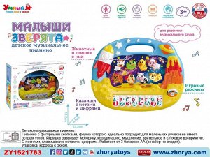 Пианино ZY1521783 ZYЕ-E0607-4 (1/48)