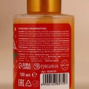 Подарочный набор «Уют и тепло»: гель для душа и пена для ванны, 2x100 мл, URAL LAB