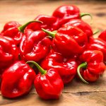 Острый перец Habanero Red