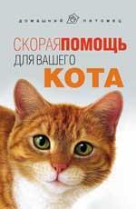Скорая помощь для вашего кота дп