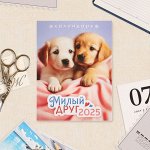 Календарь отрывной на магните «Милый друг» 2025 год, 9.5x13 см