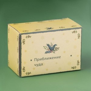 Набор для специй новогодний Доляна «Приближение чуда», 3 предмета: солонка 80 мл, перечница 80 мл, подставка, доломит, белый