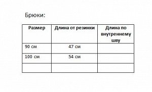 Трикотажные брюки с лампасами серые