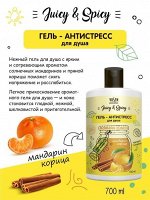 Гель для душа Vilsen Juicy &amp; Spicy Антистресс Мандарин и Корица 700мл