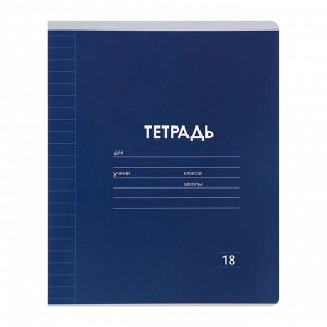 Набор тетрадей из 10 штук, 18 листов в линейку Calligrata "Однотонная Классика. Эконом", серые листы, МИКС