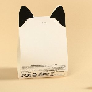 Жевательная резинка «Я от тебя пандею», вкус: тутти-фрутти, 50 г.