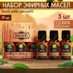 Набор эфирных масел 3 шт &quot;Пихта, Мята, Эвалипт&quot; 17 мл