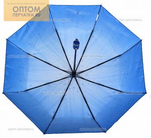 Зонт унисекс