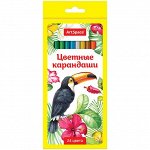 Карандаши &quot;Птицы&quot; 24цв., заточен., картон. уп., европодвес