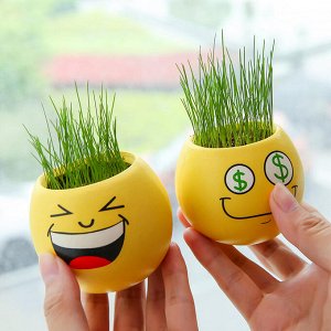 Травянчики Забавный сувенир травянчик может доставить много радостных хлопот ребенку. Экоживчики нуждаются в ежедневном поливе, который в обязательном порядке должен быть равномерным.