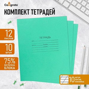 Набор тетрадей 12 листов в косую линейку «Зелёная обложка», белизна 75%, серые листы, 10 шт.