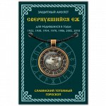 ALE651 Амулет Славянский Тотемный Годослов - Свернувшийся Ёж