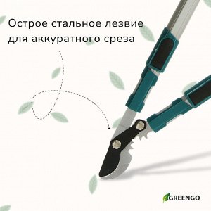 Сучкорез профессиональный, 26.4?37" (67.5?94 см), телескопический, с пластиковыми ручками, МИКС, Greengo