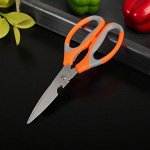 Ножницы кухонные Доляна «Драйв», 22 см, с открывалкой для бутылки, МИКС