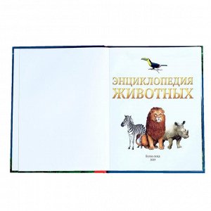 БУКВА-ЛЕНД Детская энциклопедия в твёрдом переплёте «Животные», 48 стр.