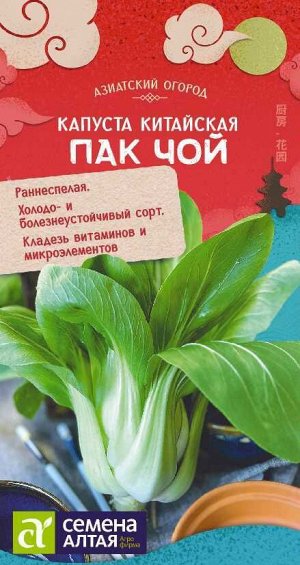 Капуста Китайская Пак Чой/Сем Алт/цп 0,3 гр. АЗИАТСКИЙ ОГОРОД!