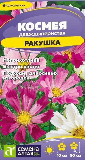 Цветы Космея Ракушка/Сем Алт/цп 0,5 гр.