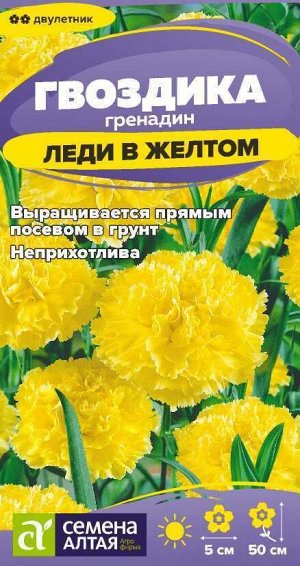 Цветы Гвоздика гренадин Леди в желтом/Сем Алт/цп 0,05 гр. двулетник