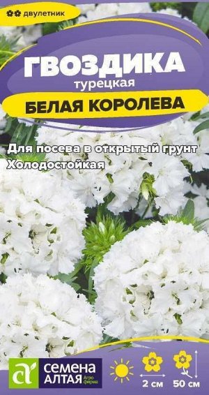 Цветы Гвоздика турецкая Белая Королева/Сем Алт/цп 0,1 гр. двулетник