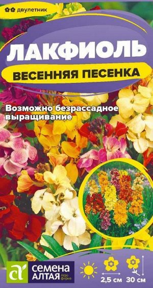 Цветы Лакфиоль Весенняя песенка/Сем Алт/цп 0,05 гр. двулетник