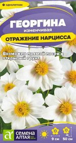 Георгина Отражение Нарцисса/Сем Алт/цп 0,2 гр.