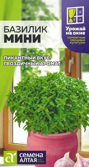 Зелень Базилик Мини/Сем Алт/цп 0,3 гр. УРОЖАЙ НА ОКНЕ!