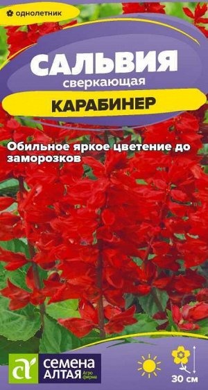 Цветы Сальвия Карабинер сверкающая/Сем Алт/цп 0,1 гр.