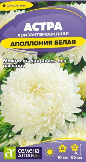 Цветы Астра Аполлония Белая/Сем Алт/цп 0,2 гр.