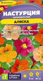 Цветы Настурция Аляска низкорослая/Сем Алт/цп 1 гр.