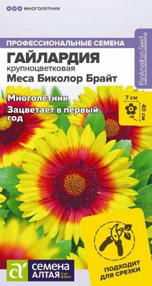 Гайлардия Меса Биколор Брайт/Сем Алт/цп 3 шт. многолетник НОВИНКА