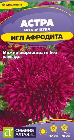 Цветы Астра Игл Афродита/Сем Алт/цп 0,2 гр.
