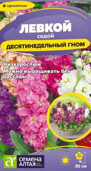 Цветы Левкой Десятинедельный гном седой/Сем Алт/цп 0,05 гр.