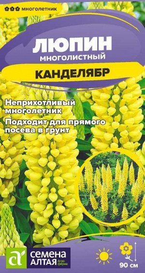 Цветы Люпин Канделябр/Сем Алт/цп 0,3 гр. многолетник