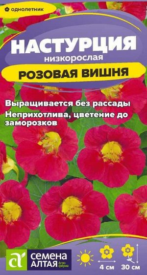 Цветы Настурция Розовая вишня низкоросл./Сем Алт/цп 0,5 гр.