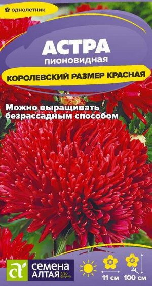 Цветы Астра Королевский размер Красная/Сем Алт/цп 0,1 гр.