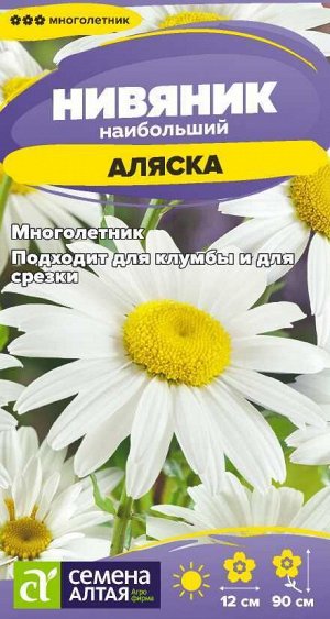 Цветы Нивяник Аляска/Сем Алт/цп 0,1 гр. многолетник