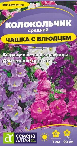 Цветы Колокольчик Чашка с Блюдцем/Сем Алт/цп 0,1 гр. двулетник