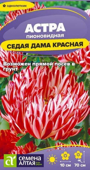 Цветы Астра Седая Дама Красная/Сем Алт/цп 0,1 гр.
