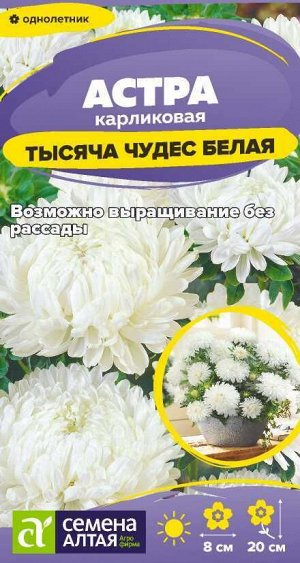 Цветы Астра Тысяча чудес белая карликовая/Сем Алт/цп 0,15 гр.