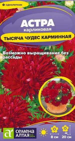 Цветы Астра Тысяча чудес карминная карликовая /Сем Алт/цп 0,15 гр.