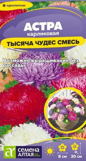 Цветы Астра Тысяча чудес смесь карликовая/Сем Алт/цп 0,15 гр.