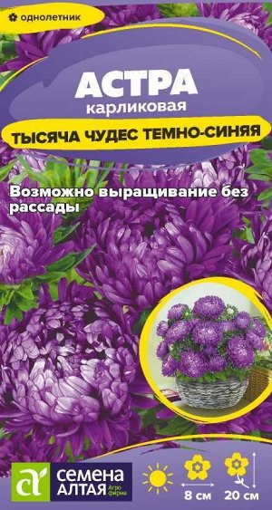 Цветы Астра Тысяча чудес темно-синяя карликовая/Сем Алт/цп 0,15 гр.